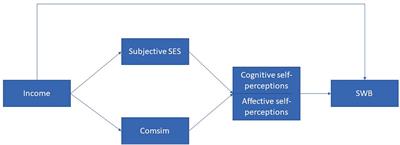 The income-happiness nexus: uncovering the importance of social comparison processes in subjective wellbeing